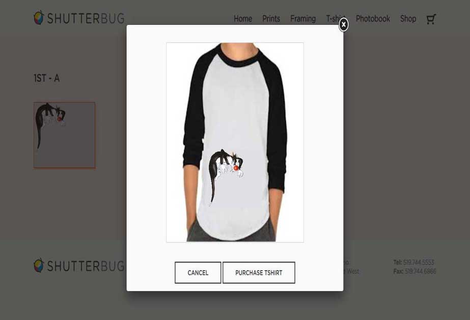 Requirement was to build an automated website that lets the buyers upload the image they wish to have on the inventory(such as T-shirts, Frame, Prints.).<br>  So we developed the website using corePHP and the main feature of the website backend is that it lets the admin choose(Using Drag & Drop UI) where the image needs to be appeared on the product when it will be uploaded by the customer. Whereas at the front end it will let you crop the image under the aspect ratio set by the admin.<br/>URL: http://dev.ideatewebsolutions.com/shutterbug/ 
